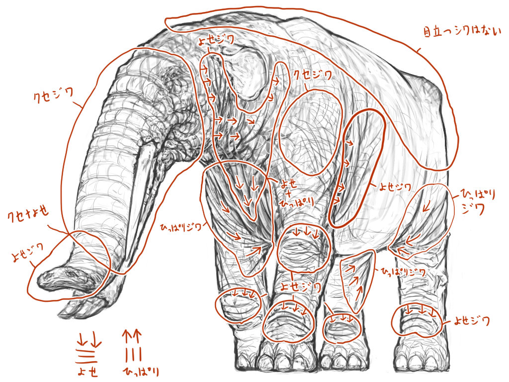 服のシワの描き方を動物の皮膚の質感に応用する モンスターイラストの描き方ブログ